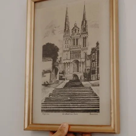 Appartement Le Nid Du Château - Cocon Avec Bagagerie