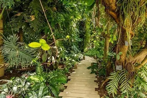 Le Nid Du Chateau - Cocon Avec Bagagerie Apartmán